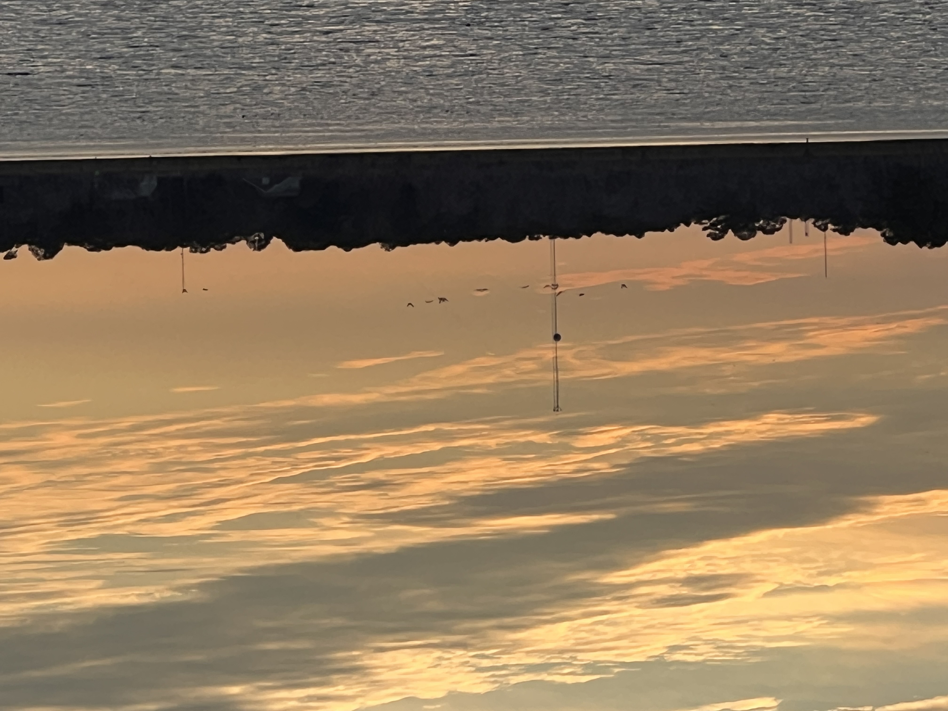 ./2023/01 - New Bern/IMG_6112.JPG